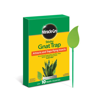 Miracle-Gro® Piège collant pour sciarides